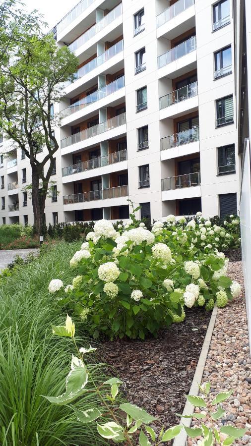 Vena Apartment Breslau